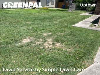 Lawn Care nearby San Antonio, TX, 