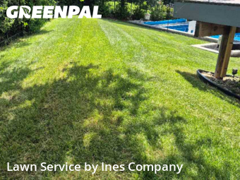 Lawn Maintenancein Orland Park,60462,Yard Mowing by Ines Company, work completed in Feb , 2026