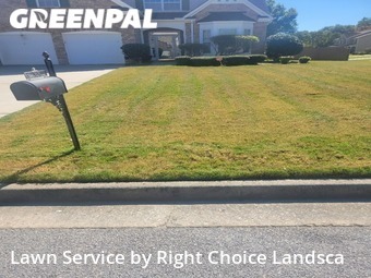 Lawn Maintenance nearby College Park, GA, 