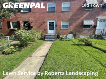 Lawn Mow nearby Alexandria, VA, 