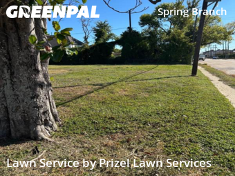 Yard Mowingin Houston,77055,Lawn Cutting by Prizel Lawn Services, work completed in Nov , 2025