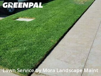 Lawn Mow nearby Fresno, CA, 