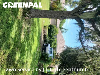 Lawn Maintenance nearby Port Charlotte, FL, 