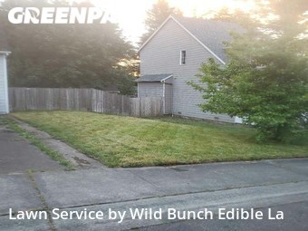 Lawn Care Service nearby Kent, WA, 