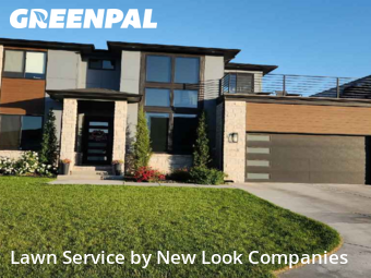 Lawn Cut nearby Goddard, KS, 