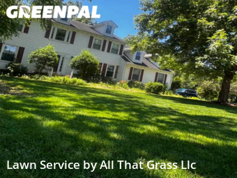 Grass Cut nearby Virginia Beach, VA, 