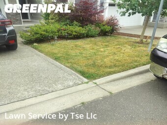 Lawn mowed in Renton, 98058