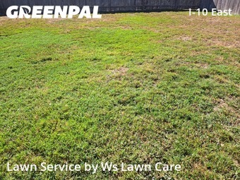 Lawn Servicein Converse,78109,Grass Cut by Ws Lawn Care, work completed in Dec , 2025