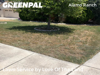 Lawn Maintenance nearby San Antonio, TX, 