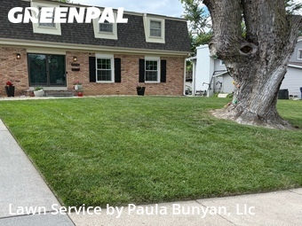 Lawn Mowing Service nearby Papillion, NE, 