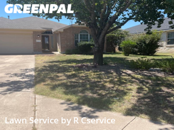 Grass Cut nearby Cedar Park, TX, 
