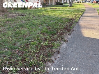 Yard Cutting nearby Ballwin, MO, 