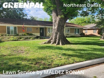 Lawn Cut nearby Dallas, TX, 
