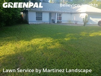 Lawn Mow nearby Summerfield, FL, 
