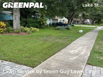 Lawn Cut nearby Palm Harbor, FL, 