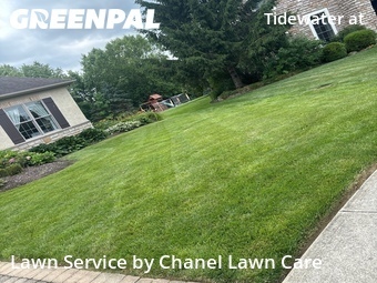 Lawn Cut nearby New Albany, OH, 