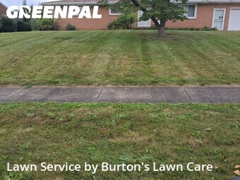Grass Cutting nearby Youngstown, PA, 