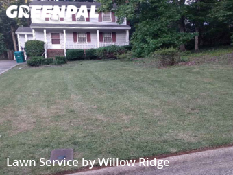 Yard Mowing nearby Martinez, GA, 