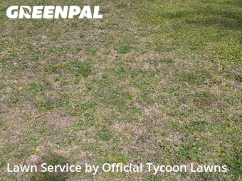 Lawn Mowing nearby Daytona Beach, FL, 