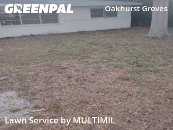 Yard Care in Seminole, 33776, Yard Grooming by MULTIMIL , work completed in Dec , 2025