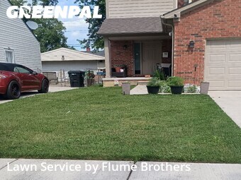 Grass Cut nearby Roseville, MI, 