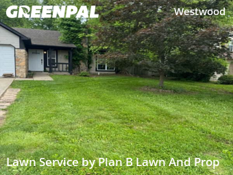 Yard Cutting nearby Indianapolis, IN, 