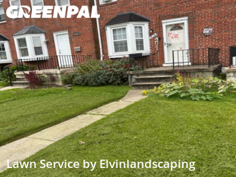 Yard Work in Towson, 21286, Yard Maintenance by Elvinlandscaping, work completed in Nov , 2025