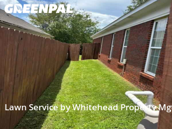 Lawn Cut nearby Columbus, GA, 