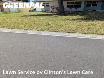 Grass Cut nearby Seminole, FL, 