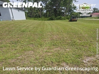 Yard Cutting nearby Lehigh Acres, FL, 