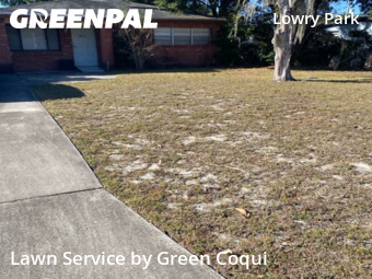 Lawn Cuttingin Tampa,33604,Lawn Care Service by Green Coqui, work completed in Jan , 2026