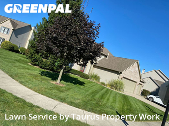 Lawn Mow nearby Greenwood, IN, 