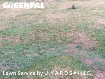 Grass Cut nearby Riverbank, CA, 