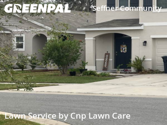 Lawn Mowing Servicein Tampa,33610,Lawn Maintenance by Cnp Lawn Care, work completed in Dec , 2025
