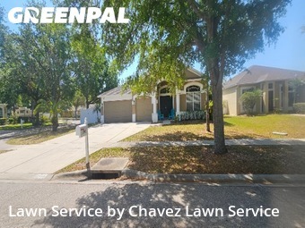 Yard Cutting nearby Valrico, FL, 