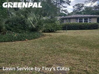 Lawn Mow nearby Valdosta, GA, 