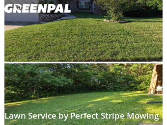 Grass Cut nearby Springfield, MO, 