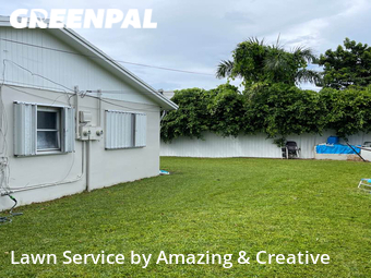 Grass Cut nearby Cutler Bay, FL, 