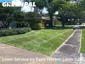 Lawn Maintenance nearby Palm Harbor, FL, 