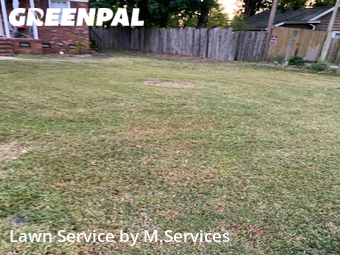 Lawn Cut nearby Greensboro, NC, 