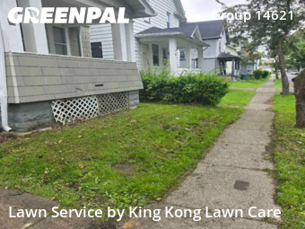 Lawn Service nearby Rochester, NY, 