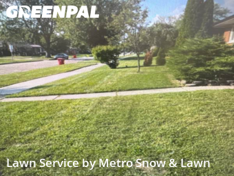 Lawn Mowing Service nearby Fraser, MI, 