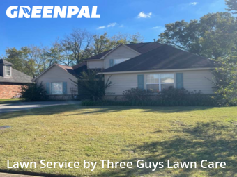 Lawn Services in Olive Branch, 38654, Backyard Mowing by Three Guys Lawn Care, work completed in Nov , 2025