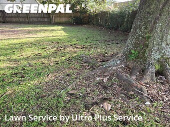 Lawn Cut nearby Pensacola, FL, 