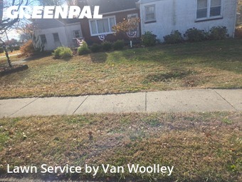 Lawn Mowing in Newtown, 18940, Lawn Work by Van Woolley, work completed in Nov , 2025