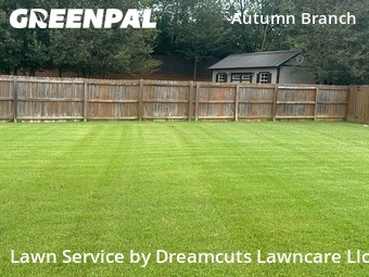 Lawn mowed in Madison, 35757