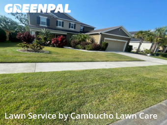 Grass Cut nearby Sarasota, FL, 