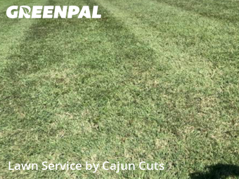 Lawn Mowing Service nearby Murfreesboro, TN, 