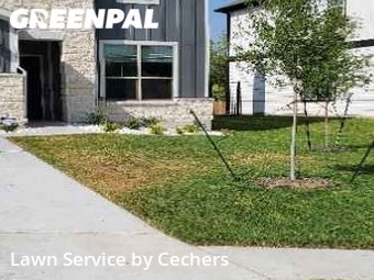 Grass Cut nearby Austin, TX, 