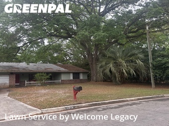 Lawn Care nearby Gainesville, FL, 